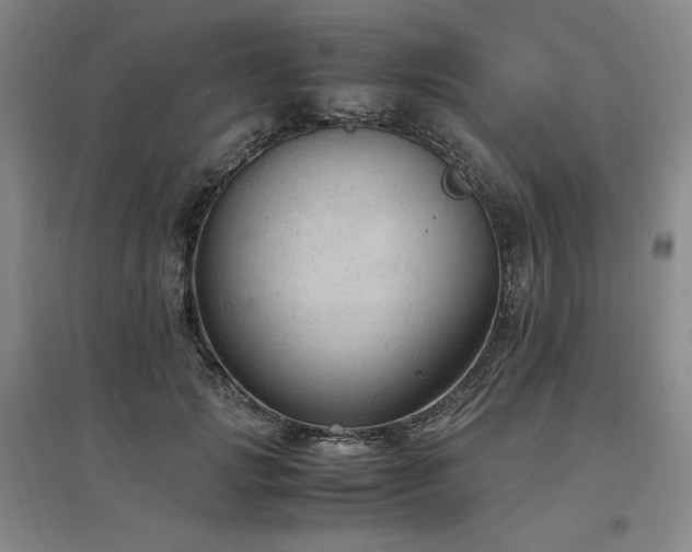 X0000097460749200802221213
