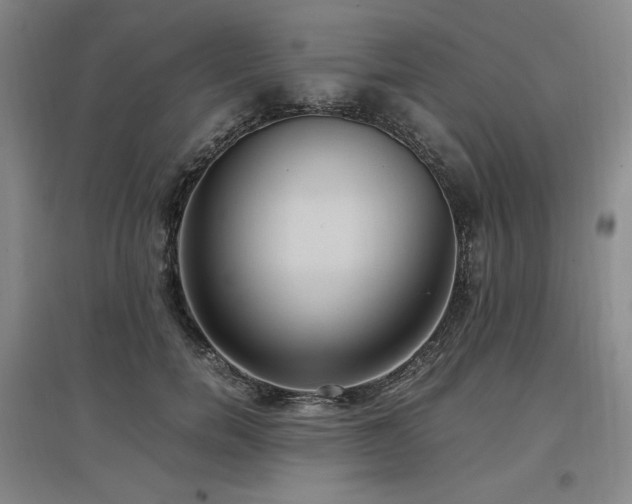 X0000097460750200802221213