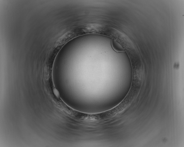 X0000097460751200802221213