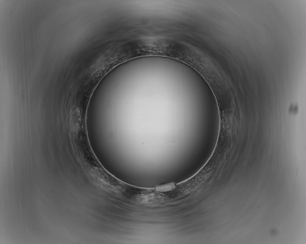 X0000097460752200802221213