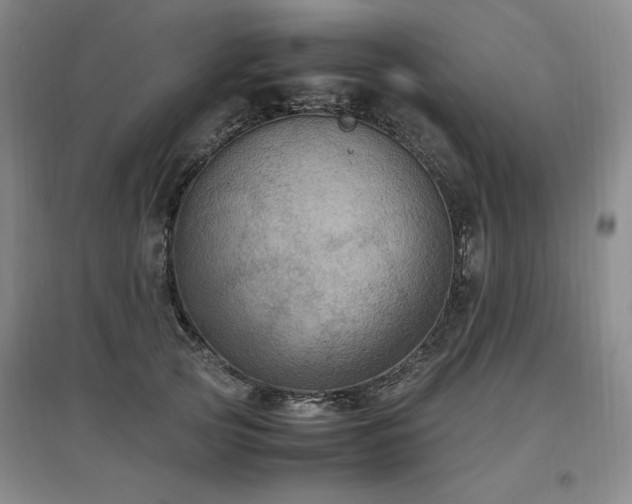 X0000097460753200802221213