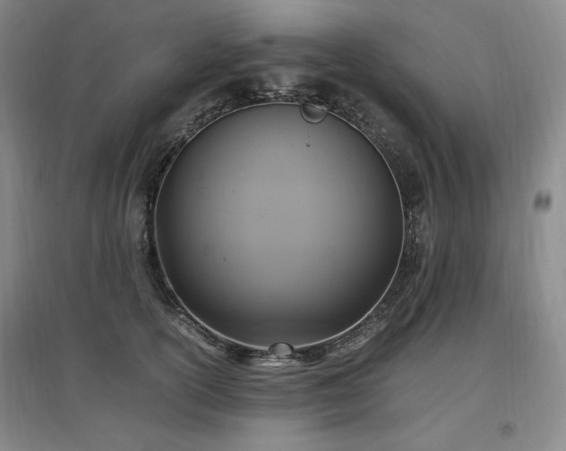 X0000097460754200802221213