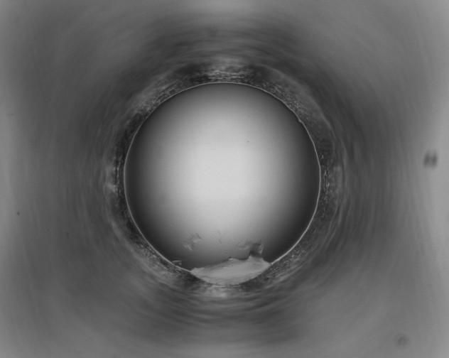 X0000097460755200802221213