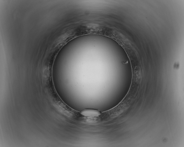 X0000097460756200802221213