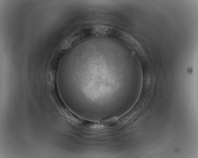 X0000097460759200802221213