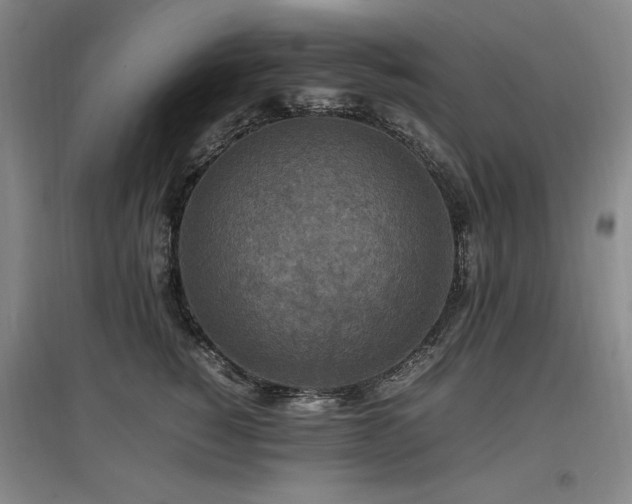 X0000097460760200802221213