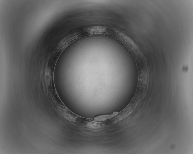 X0000097460761200802221213