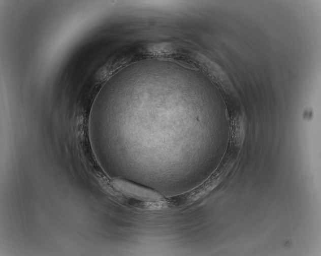X0000097460762200802221213