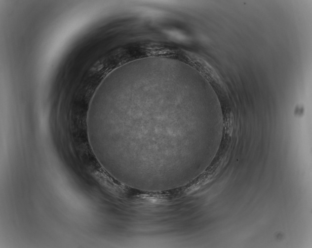 X0000097460763200802221213
