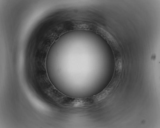 X0000097460764200802221213