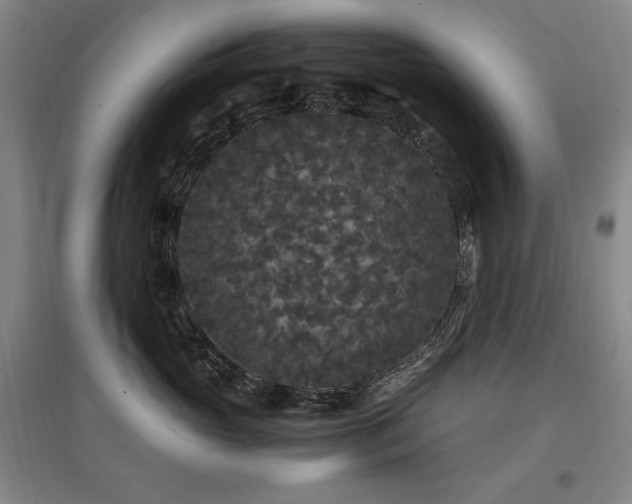 X0000097460765200802221213