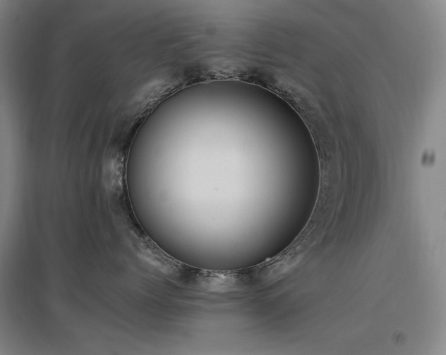 X0000097460768200802221213
