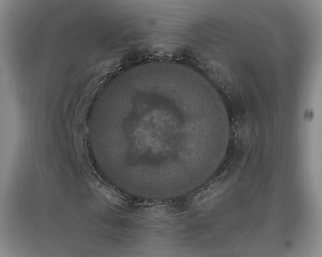 X0000097460769200802221213