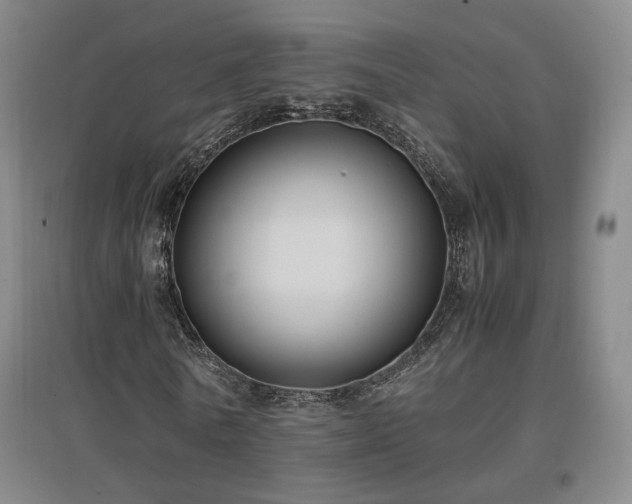 X0000097460770200802221213