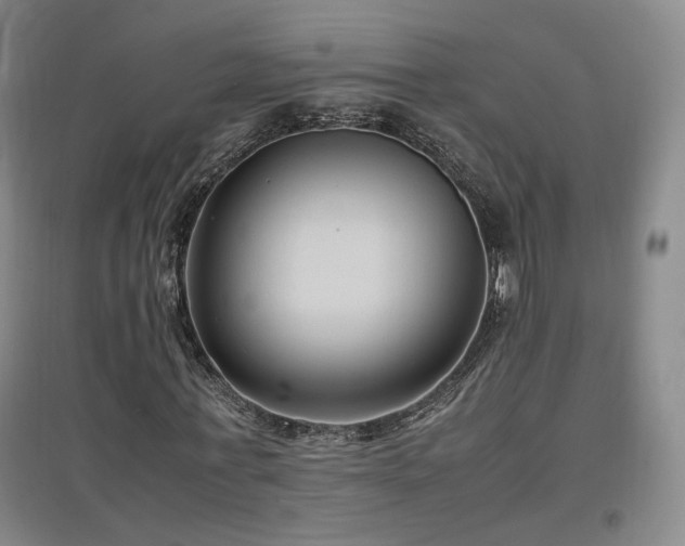 X0000097460771200802221213