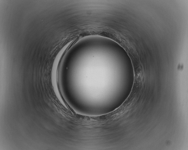 X0000097460772200802221213