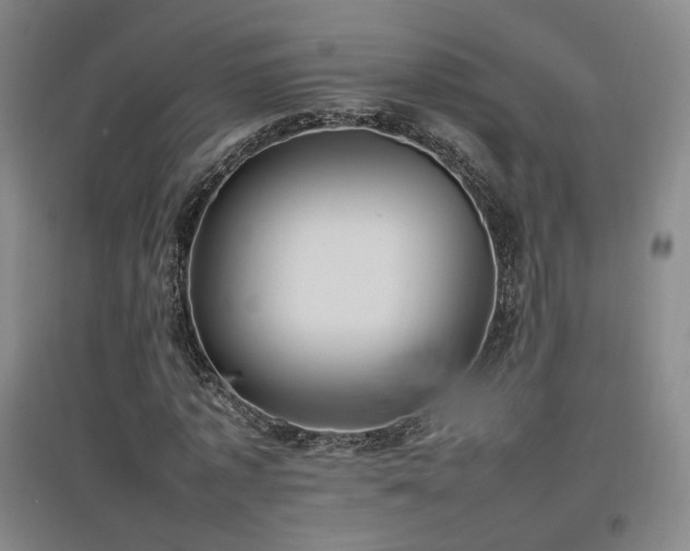 X0000097460773200802221213