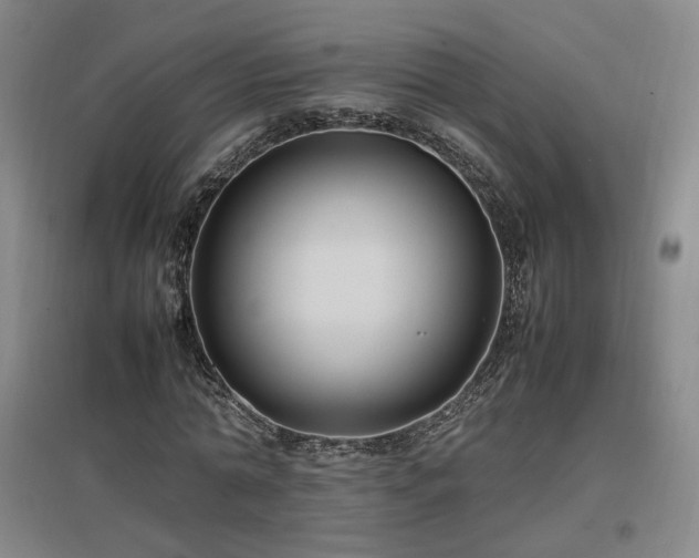 X0000097460774200802221213