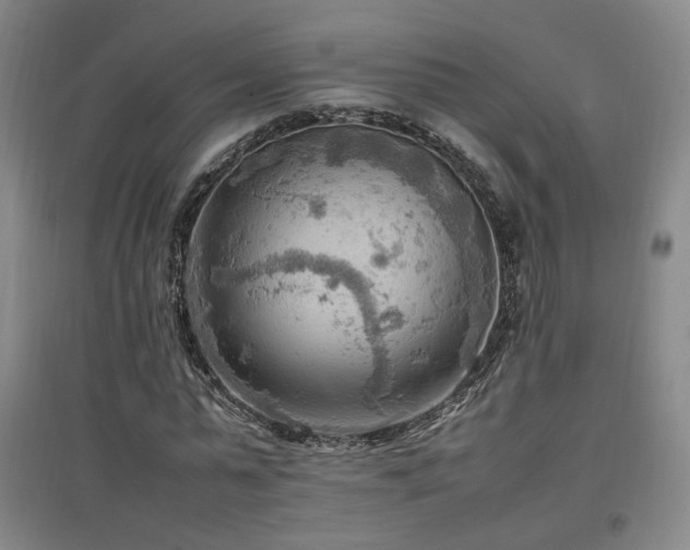 X0000097460775200802221213