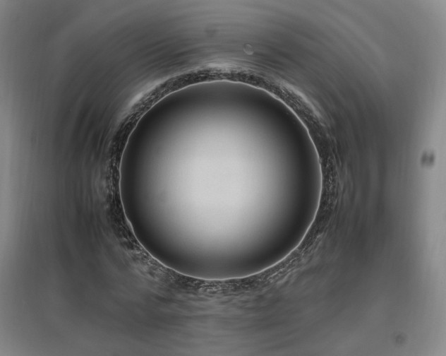 X0000097460776200802221213