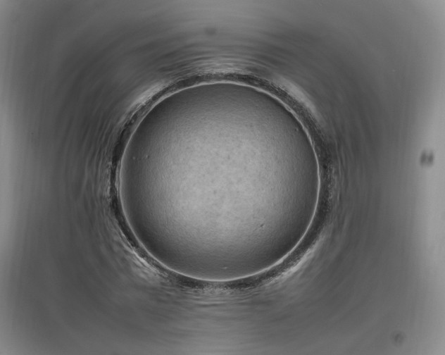 X0000097460777200802221213