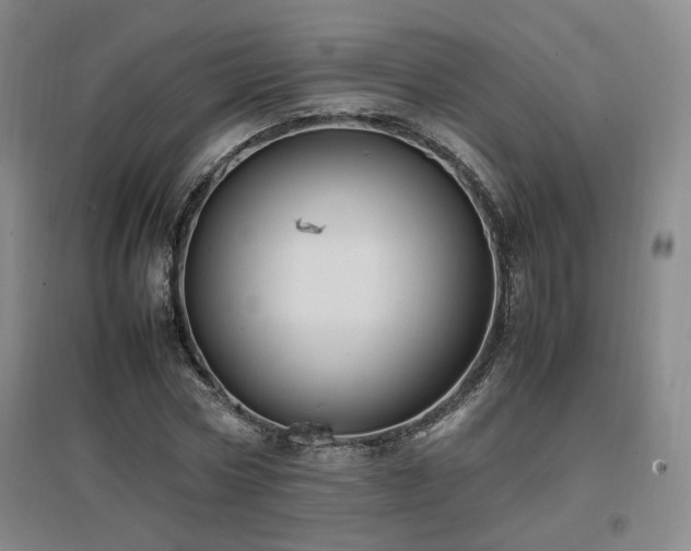 X0000097460778200802221213