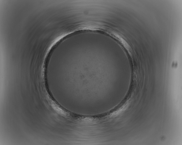 X0000097460779200802221213