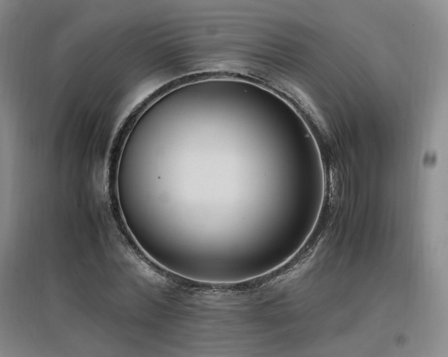 X0000097460780200802221212