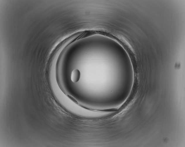 X0000097460781200802221212