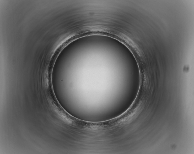 X0000097460782200802221212