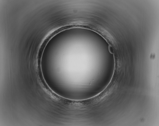 X0000097460784200802221212