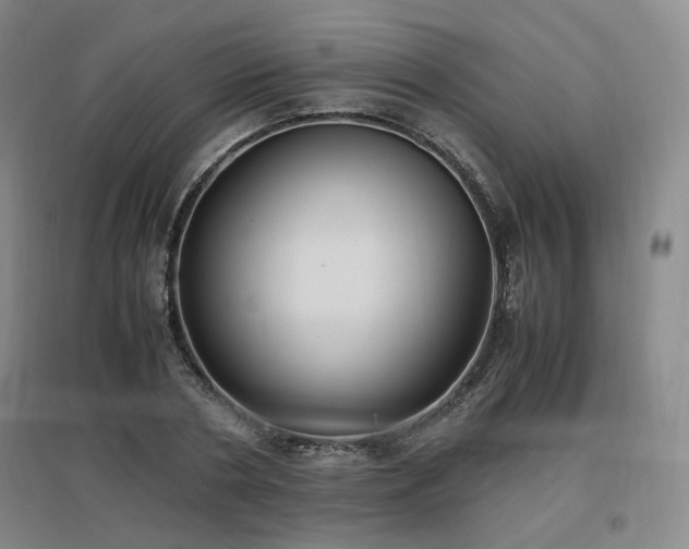 X0000097460786200802221212