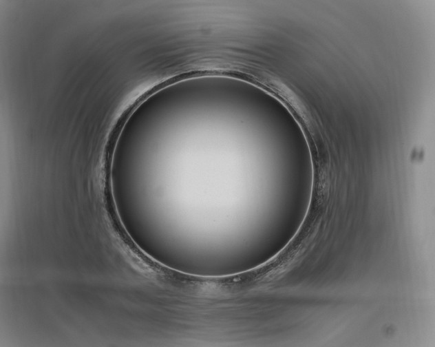 X0000097460787200802221212