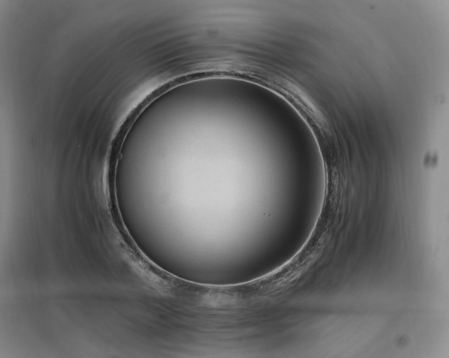 X0000097460788200802221212
