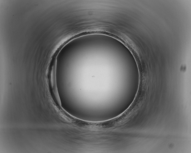 X0000097460789200802221212