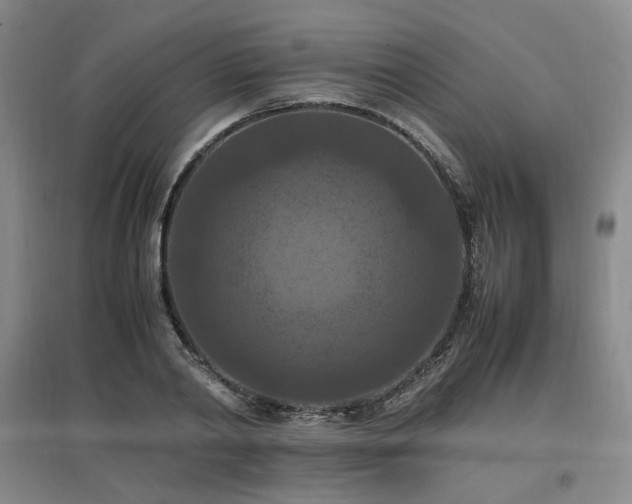 X0000097460790200802221212