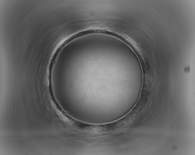 X0000097460791200802221212