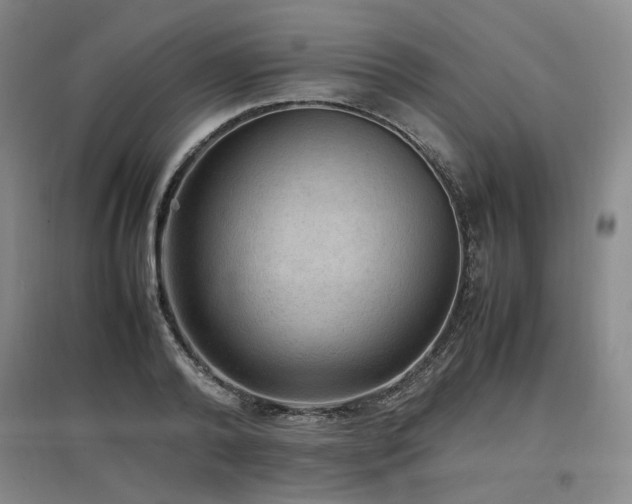 X0000097460792200802221212