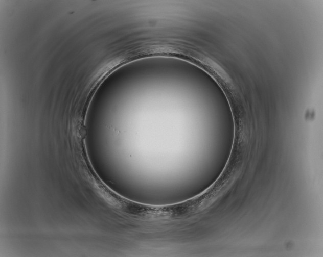 X0000097460793200802221212