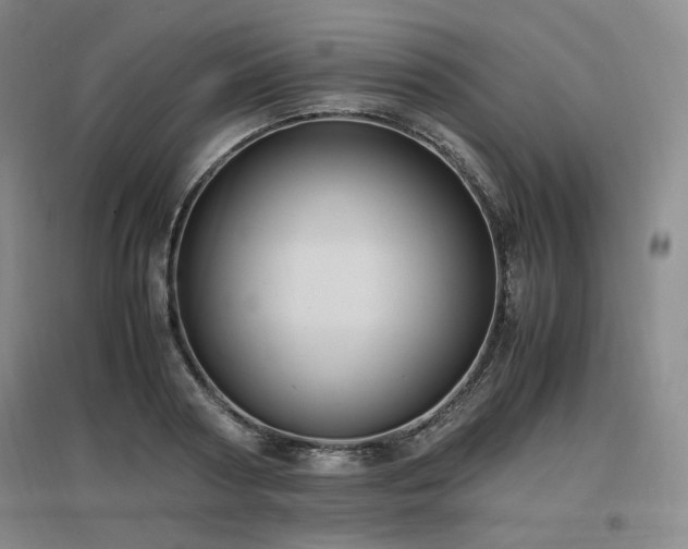 X0000097460794200802221212