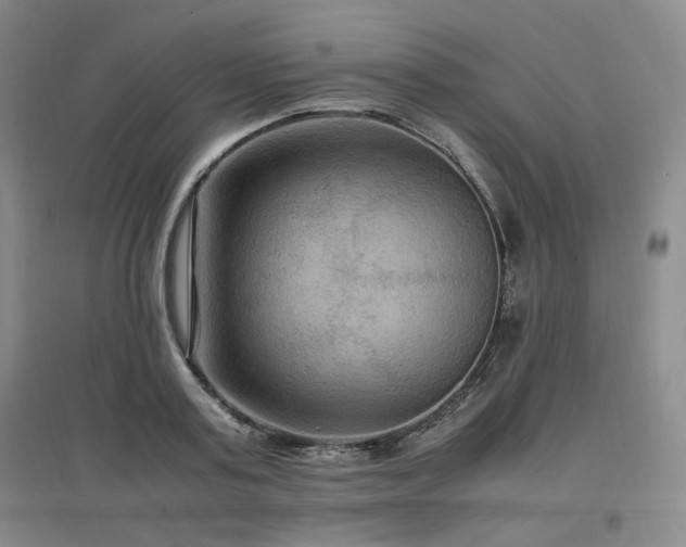 X0000097460795200802221212