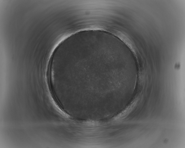 X0000097460797200802221212