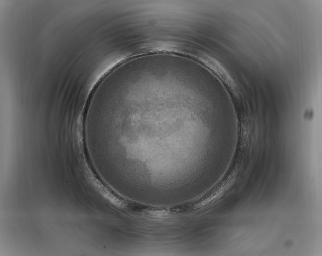 X0000097460798200802221212