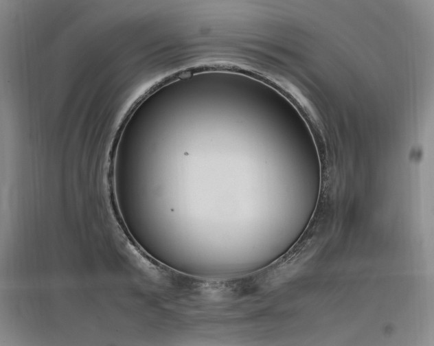 X0000097460799200802221212