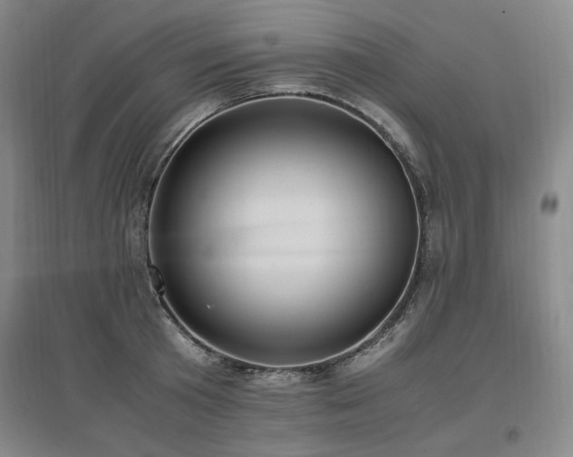 X0000097460801200802221212