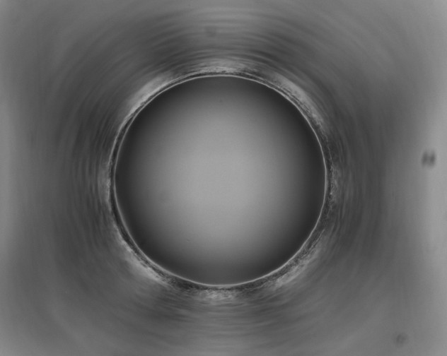 X0000097460802200802221212