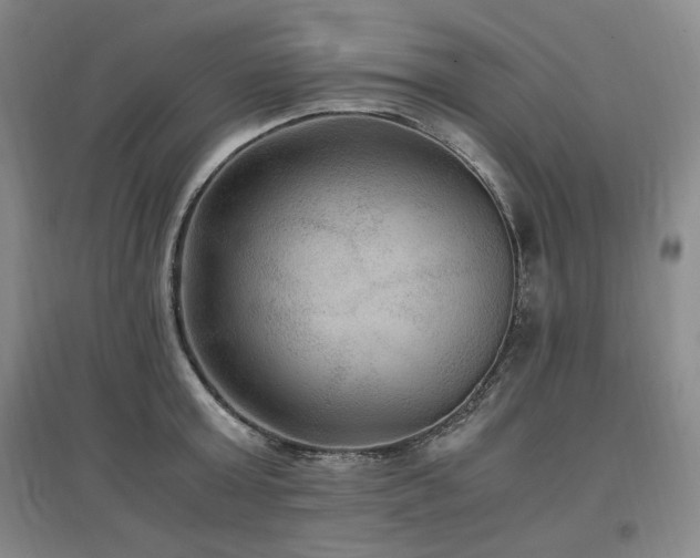 X0000097460803200802221212