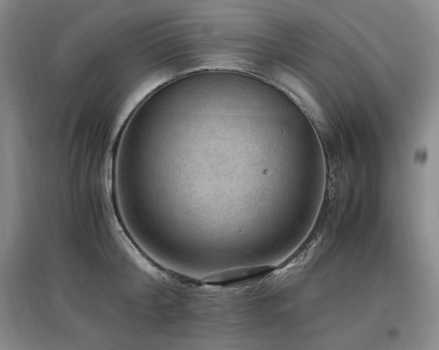 X0000097460804200802221212