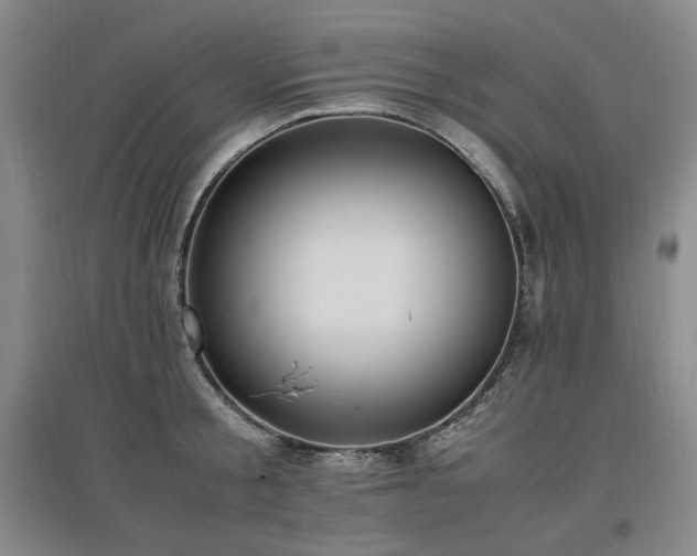 X0000097460805200802221212
