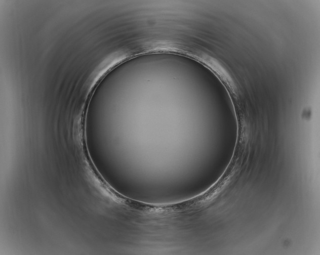 X0000097460806200802221212
